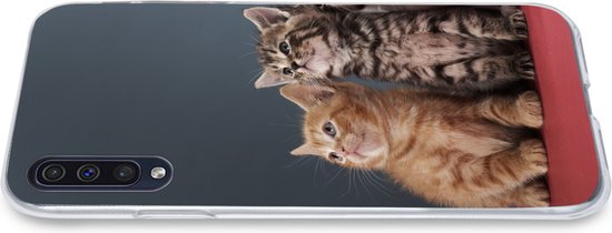 Telefoonhoesje Geschikt voor Samsung Galaxy A50 hoesje - Kittens - Blauw - Roze - Meisjes - Kinderen - Jongens - Kind - Siliconen Telefoonhoesje Telefoonhoesje