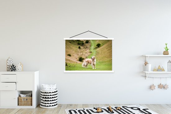 Schoolplaat - Prachtige afbeelding van een Golden Retriever - 150x100 cm - Textielposter Witte latten - Textiel poster