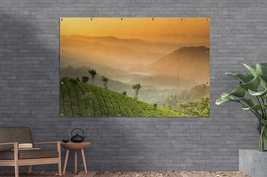 Coucher de soleil sur les plantations de thé 180x120 cm XXL / Groot format!