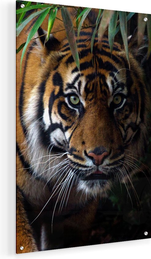 Artaza Glasschilderij - Tijger In De Jungle - 40x60 - Plexiglas Schilderij - Foto op Glas