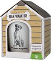 Mok – Rhodesian Ridgeback  – Dier – Puppy – Hond – Dieren – Mokken en bekers – Keramiek – Mokken - Porselein -  Honden – Cadeau -  Kado