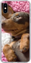 Geschikt voor iPhone Xs Max hoesje - Een Teckel puppy op een roze deken - Siliconen Telefoonhoesje