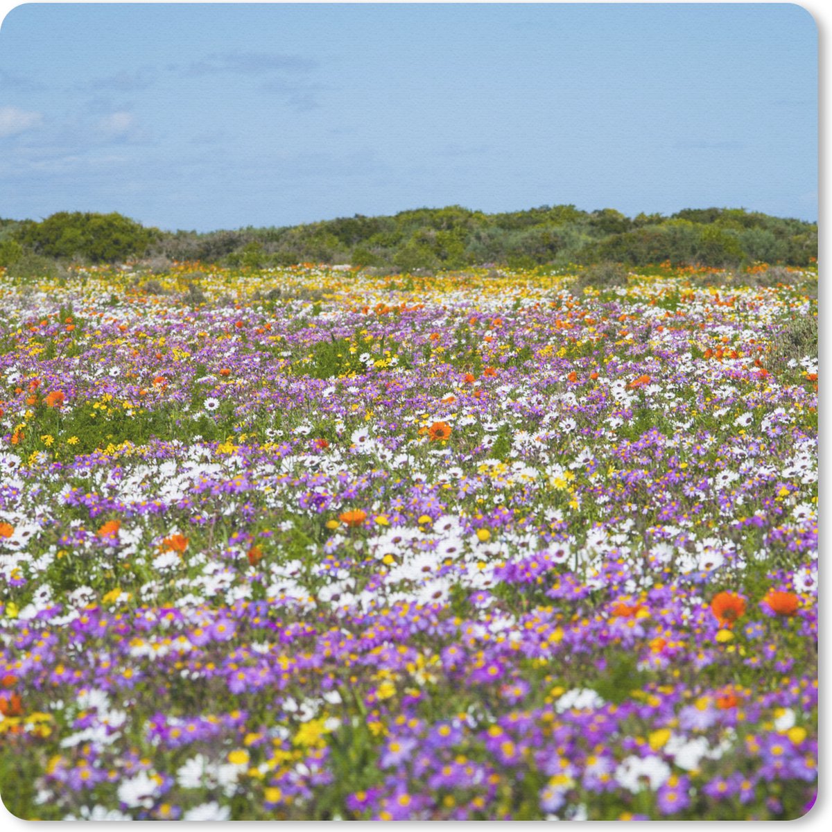 Muismat 20x20 cm - Mousepad Bloemenweide - Paars - Bloemen - Muismatten