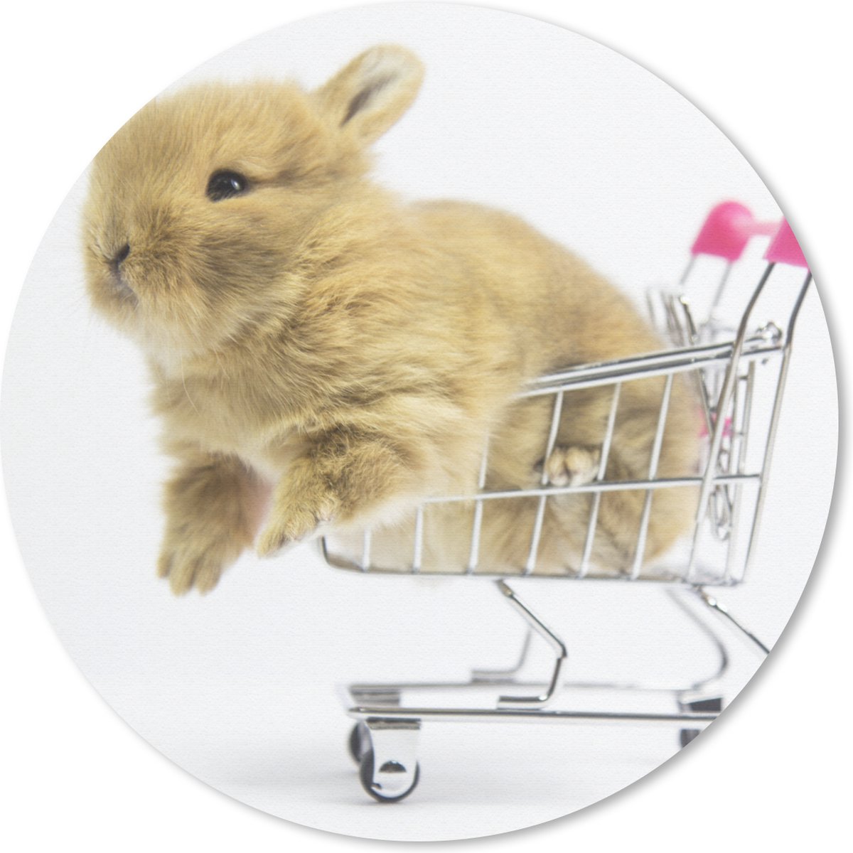 Muismat rond 40x40 cm - Mousepad Konijn - Baby - Wit - Ronde muismatten
