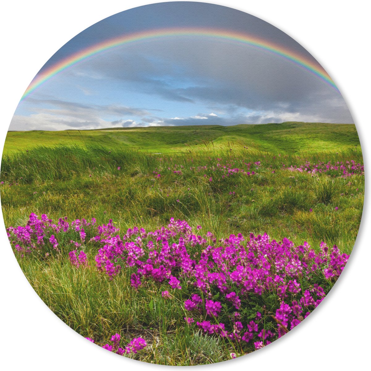 Muismat rond 40x40 cm - Mousepad Regenboog - Bloemen - Heide - Ronde muismatten