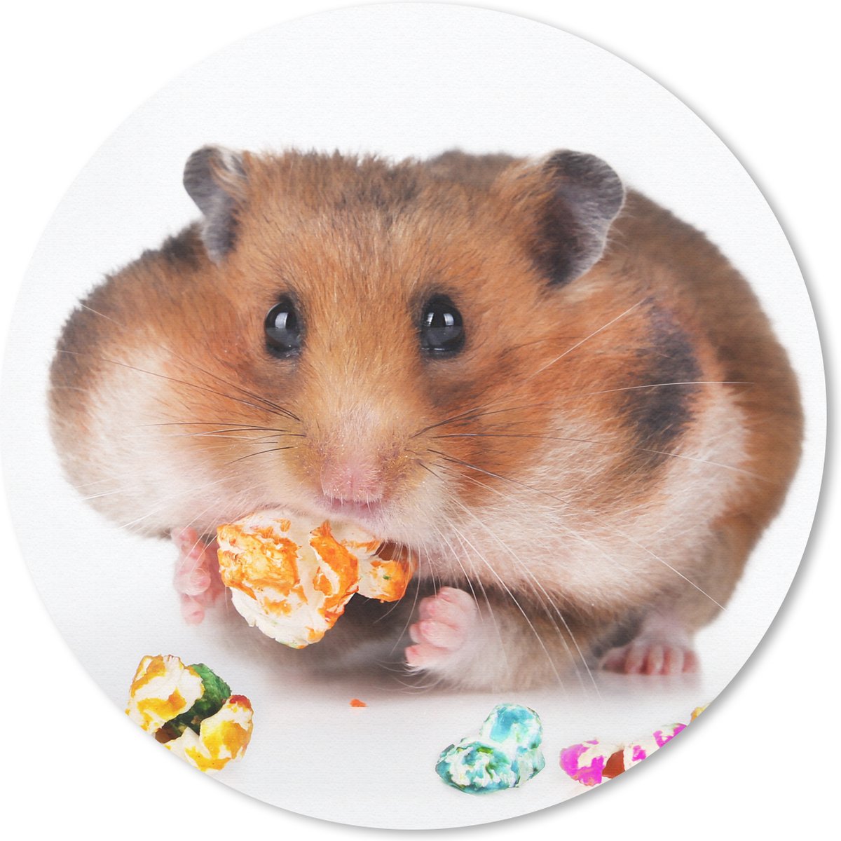 Muismat rond 50x50 cm - Mousepad Hamster eet kleurrijk voedsel - Ronde muismatten
