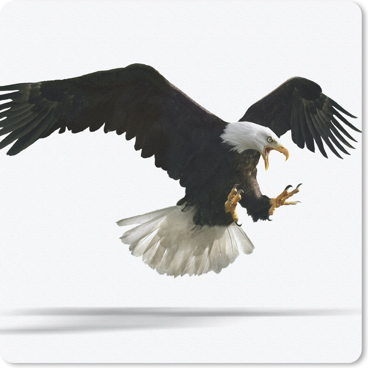 Muismat 30x30 cm - Mousepad Arend - Vogel - Wit - Muismatten