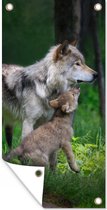 Tuinposter Wolf - Baby - Bos - 30x60 cm - Tuindoek - Buitenposter