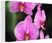 Canvas Schilderij Roze orchidee - 90x60 cm - Wanddecoratie