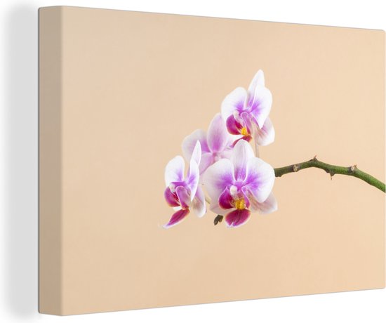 Canvas Schilderij Witte en roze orchidee - 30x20 cm - Wanddecoratie