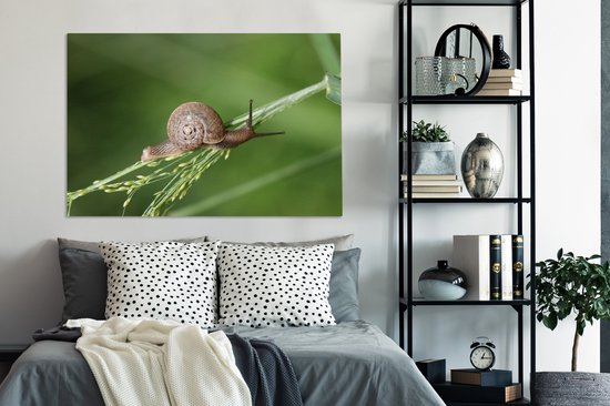 Tableau sur toile Escargot rampant - 120x80 cm - Décoration murale