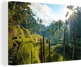 Canvas Schilderij Rijstterras in Indonesië - 60x40 cm - Wanddecoratie