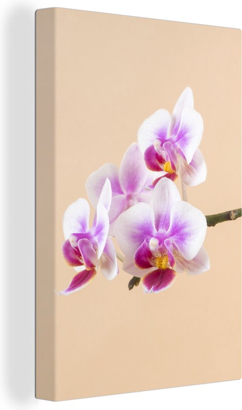 Canvas Schilderij Witte en roze orchidee - Wanddecoratie