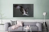 Canvas Schilderij Visarend - Water - Roofvogel - 140x90 cm - Wanddecoratie