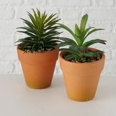 Kunstplant in terra cotta pot - H15 cm
