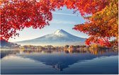 Ochtendmist bij het Kawaguchiko meer bij Mount Fuji in Japan - Foto op Forex - 45 x 30 cm