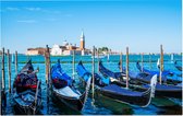 Gondels afgemeerd voor het San Marcoplein in Venetië - Foto op Forex - 90 x 60 cm
