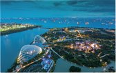 Luchtfoto van de supertrees in de tuinstad van Singapore - Foto op Forex - 45 x 30 cm