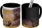 Magische Mok - Foto op Warmte Mokken - Koffiemok - Schotse Otter - Magic Mok - Beker - 350 ML - Theemok