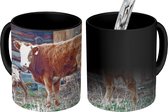 Magische Mok - Foto op Warmte Mokken - Koffiemok - Koe - Schuur - Gras - Kalf - Magic Mok - Beker - 350 ML - Theemok