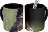 Magische Mok - Foto op Warmte Mok - Fazant - Gras - Vogel - 350 ML