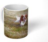 Mok - Een vrouwelijke Cavalier King Charles-spaniël in het gras - 350 ML - Beker