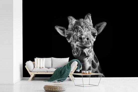 Papier peint - Papier peint Papier peint photo Girafe - Animal - Zwart - Wit - Largeur 390 cm x hauteur 260 cm