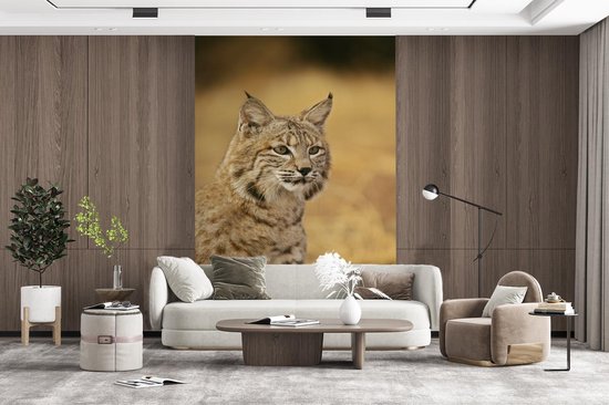 Papier peint - Papier peint photo Lynx - Marron - Herbe - Largeur 160 cm x hauteur 240 cm