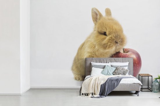 Papier peint photo peint photo vinyle - Bébé lapin avec une pomme largeur 450 cm x hauteur 300 cm - Tirage photo sur papier peint (disponible en 7 tailles)