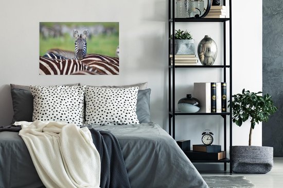 Poster Zèbre frappant - 90x60 cm