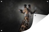 Muurdecoratie Giraffe - Donker - Dieren - 180x120 cm - Tuinposter - Tuindoek - Buitenposter