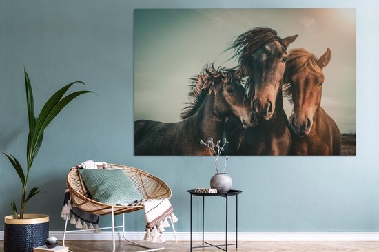 Tableau sur toile Paarden - Gros plan - Soleil - 150x100 cm - Décoration murale