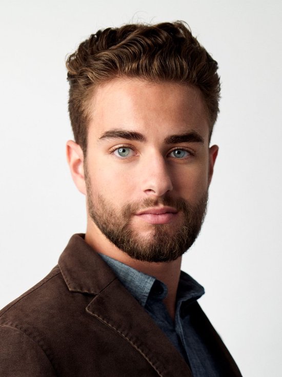 Mannelijk model met golvend haar en baard.