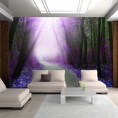 Zelfklevend fotobehang -  Paars pad door het bos  , Premium Print