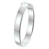 Bangle Scharnier Vlakke Buis 10 X 60 Mm