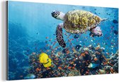 Décoration murale Métal - Peinture Aluminium - Tortue au Barrière de Corail - 40x20 cm