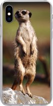 Geschikt voor iPhone Xs Max hoesje - Stokstaartje - Dier - Wild - Siliconen Telefoonhoesje