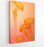 Canvas schilderij - Four orange jellyfish wallpaper  -   1784578 - 115*75 Vertical