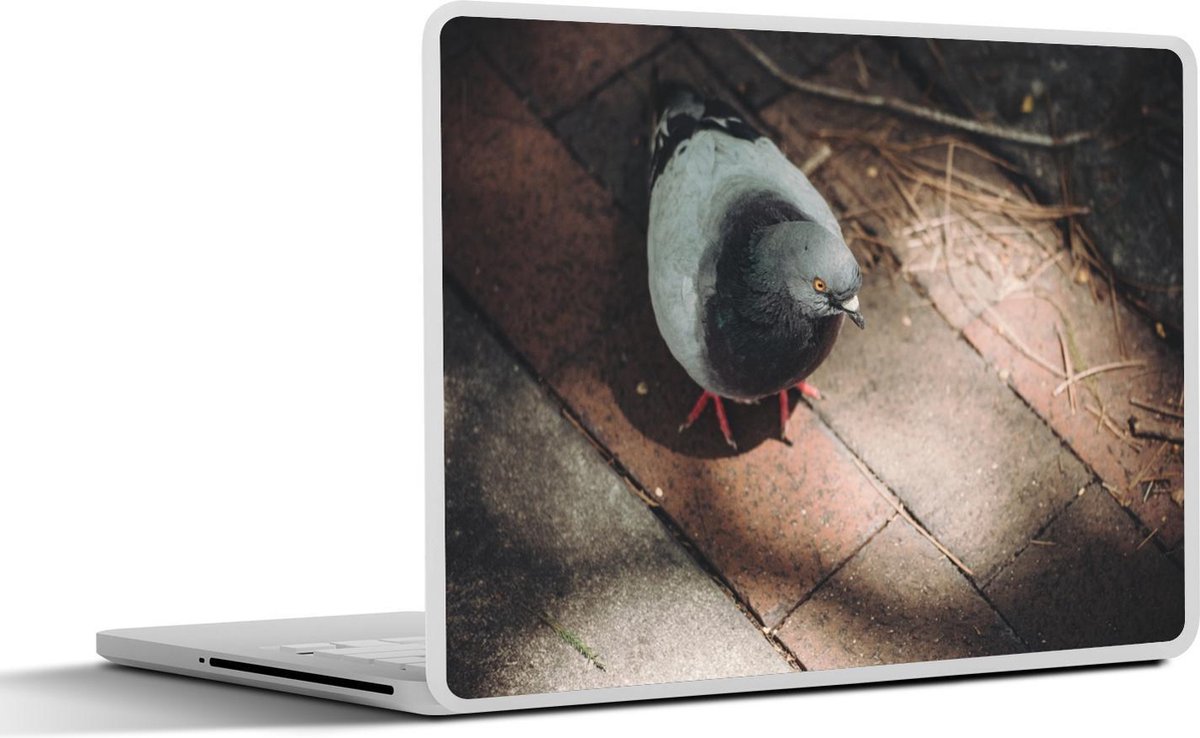 Afbeelding van product SleevesAndCases  Laptop sticker - 17.3 inch - Vogel - Duiven - Grond