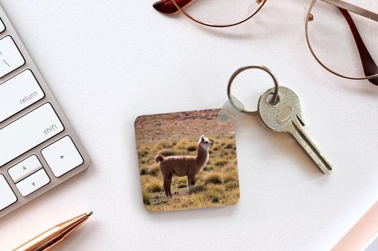 Porte-clés - Cadeaux - Alpaga - Herbe - Animal - Plastique