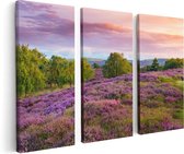 Artaza Canvas Schilderij Drieluik Paarse Weide - 120x80 - Foto Op Canvas - Canvas Print