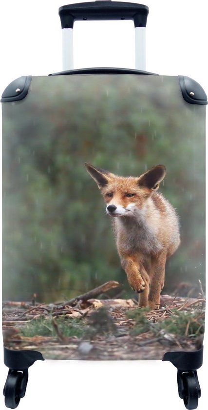 Valise Chariot à Bagages à Main Chaton - Illustration - Fleurs - Nature - Chat Bagage Cabine Imprimé 55x35x25 Cm Valise De Voyage Avec Roulettes - Trolley