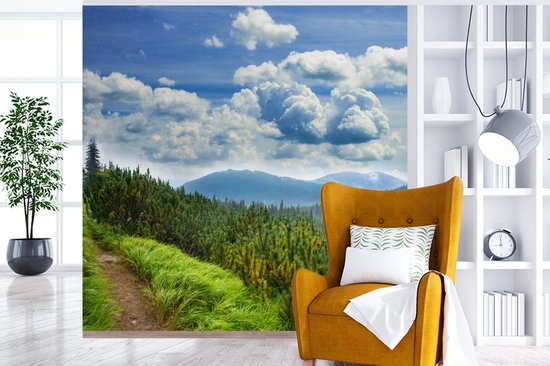 Papier peint - Papiers Papier peint photo Forêt - Chemin - Berg - Largeur 220 cm x Hauteur 220 cm