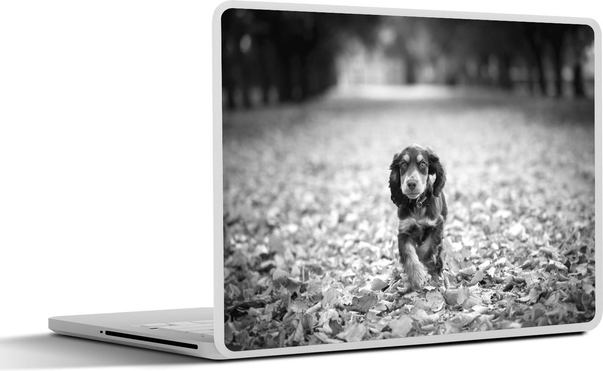 Afbeelding van product SleevesAndCases  Laptop sticker - 13.3 inch - Een Engelse cockerspaniël die de bladeren in de Herfst bekijkt - zwart wit