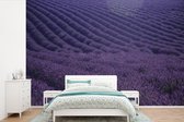 Behang - Fotobehang Bloeiende lavendelveld op golvende heuvels - Breedte 420 cm x hoogte 280 cm