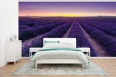 Behang - Fotobehang Paarse lucht boven rijen in een lavendelveld - Breedte 430 cm x hoogte 240 cm