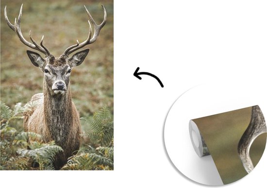 Papier peint - Papiers Papier peint photo Cerf - Bois - Feuilles - Largeur 160 cm x Hauteur 240 cm