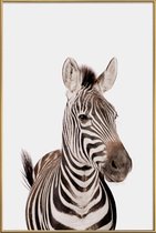 JUNIQE - Poster met kunststof lijst Zebra -40x60 /Wit & Zwart