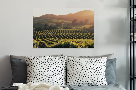 Vignobles aux Etats-Unis Toile 80x60 cm - Tirage photo sur toile (Décoration murale salon / chambre)