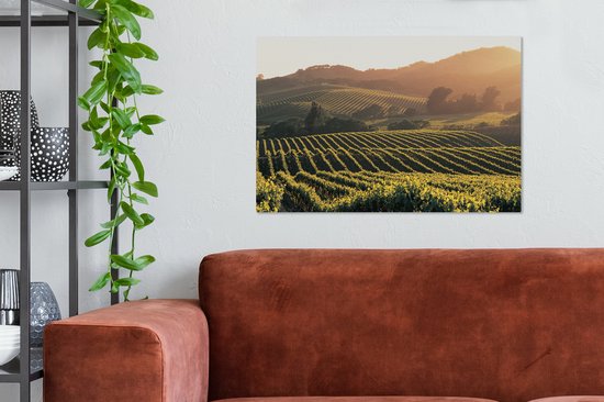 Vignobles aux Etats-Unis Toile 80x60 cm - Tirage photo sur toile (Décoration murale salon / chambre)
